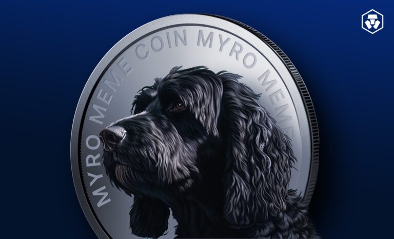 Koin Myro: Menyatukan Dunia Digital dan Keuangan dengan Inovasi Blockchain