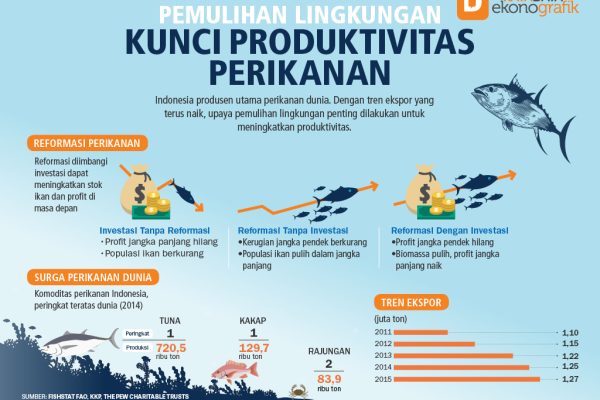Usaha Perikanan Terbaik untuk Meningkatkan Pendapatan