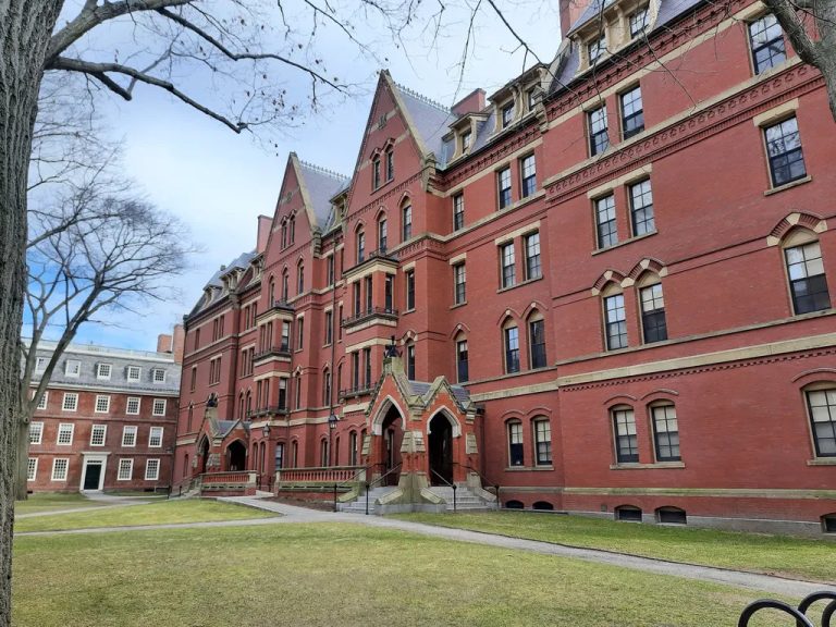 Bisnis Terbaik di Universitas Harvard: Prestasi dan Inovasi Terkini